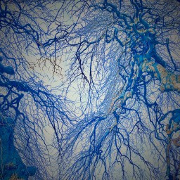 Branches And Sky Unbecoming Or A Few Thoughts On Chaos.